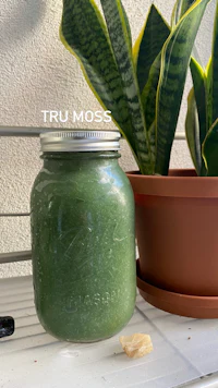 a jar of green smoothie next to a potted plant